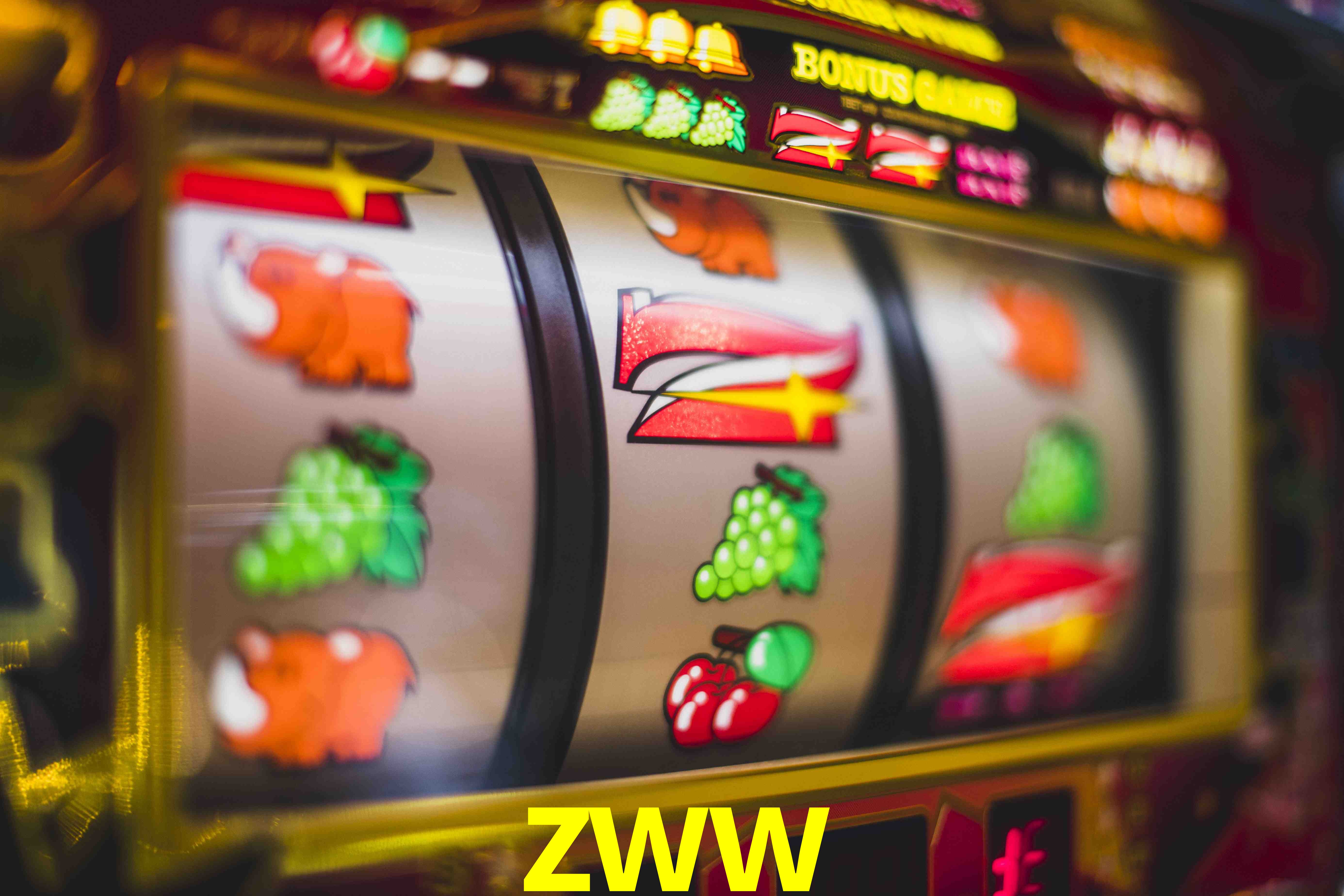 VIP Casino zww